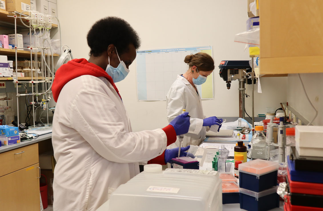 two researchers working in a laboratory setting