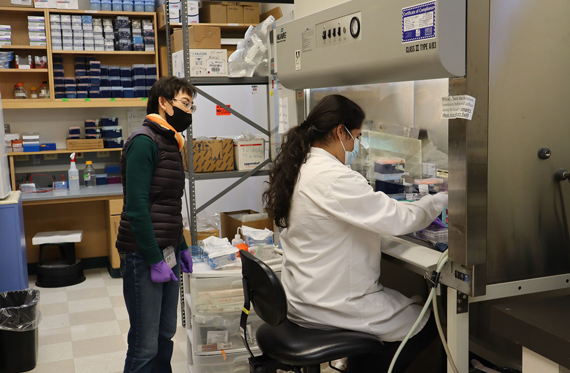 two researchers working in a laboratory setting